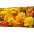 Монитор DAHUA DHL460UCH-ES Монитор DAHUA DHL460UCH-ES